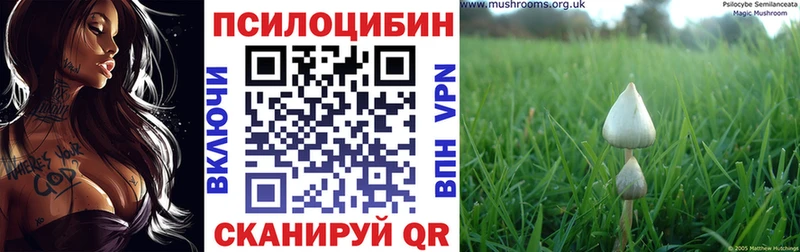 Галлюциногенные грибы мухоморы  Орёл 